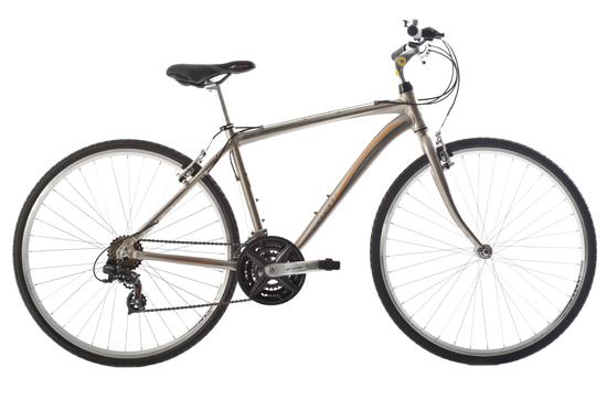 raleigh pioneer 1